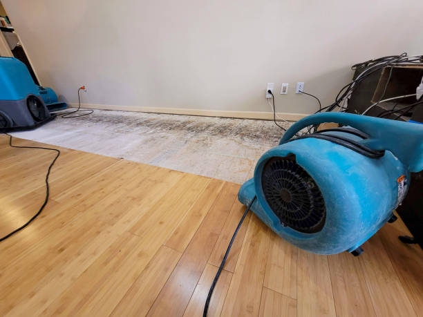 Professional Flood Damage Cleanup technician working in Mineral Point, WI